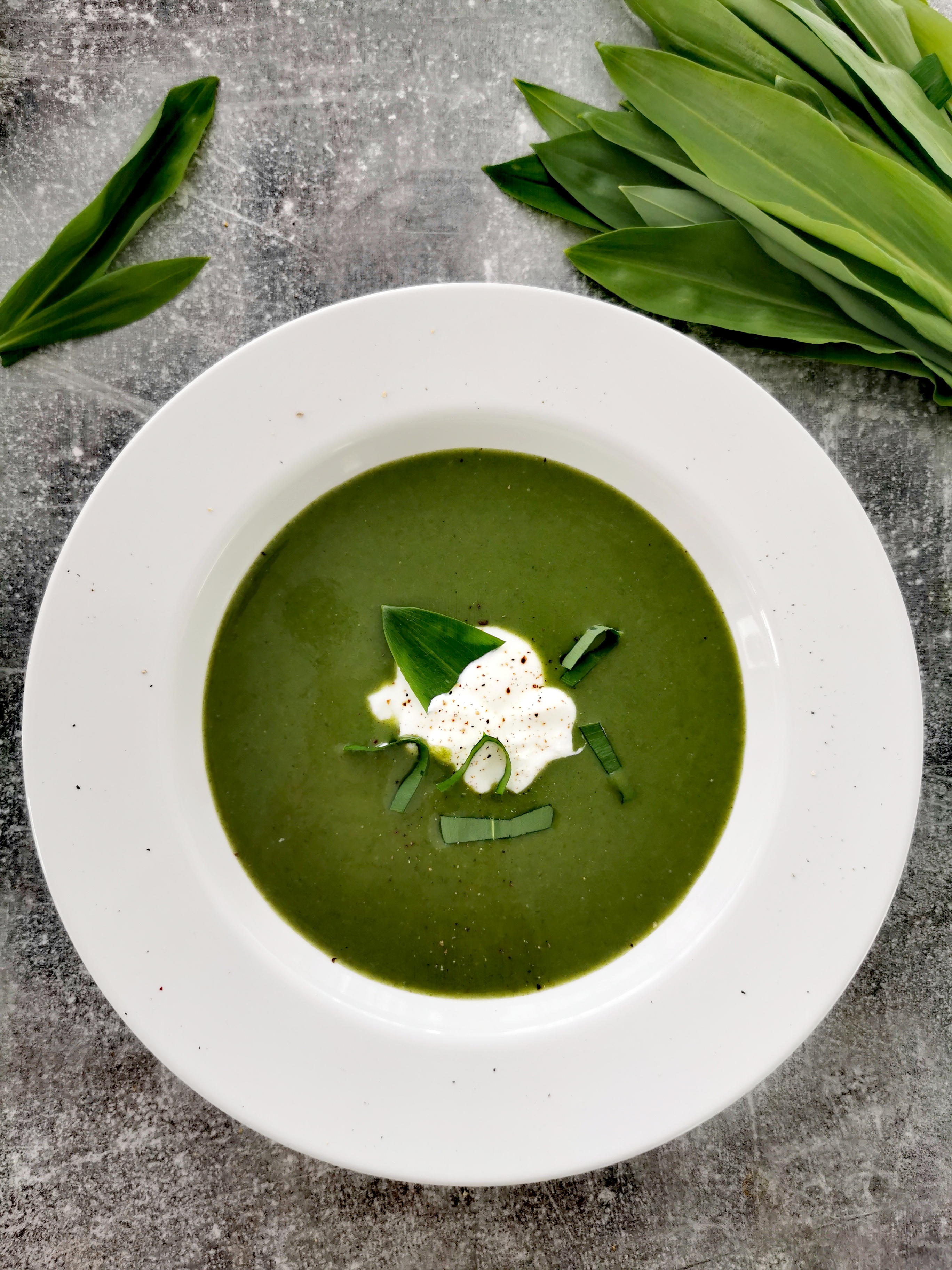 Medvehagyma Krémleves